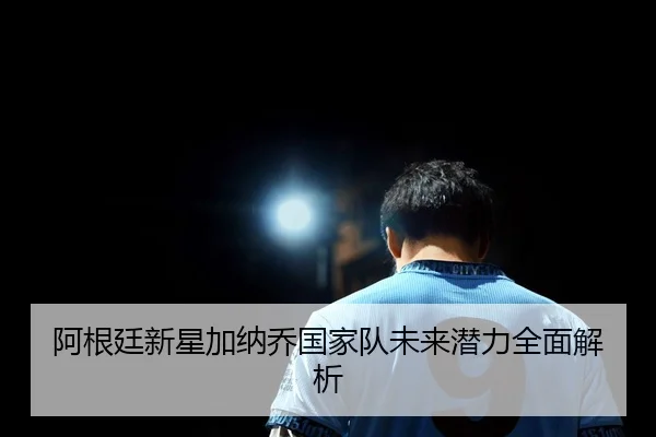 阿根廷新星加纳乔国家队未来潜力全面解析